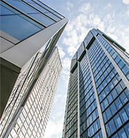 河北省邯郸市鸡泽县历深真园林绿化用品股份有限公司,宜宾河北省邯郸市鸡泽县历深真园林绿化用品股份有限公司